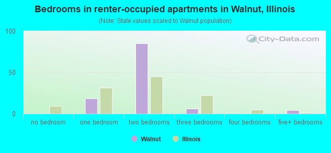 Bedrooms in renter-occupied apartments in Walnut, Illinois