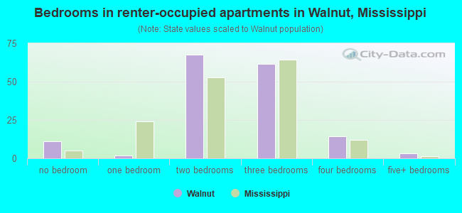 Bedrooms in renter-occupied apartments in Walnut, Mississippi