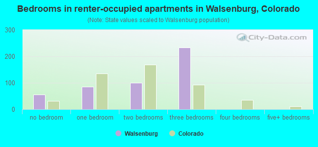 Bedrooms in renter-occupied apartments in Walsenburg, Colorado