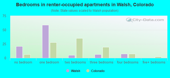 Bedrooms in renter-occupied apartments in Walsh, Colorado