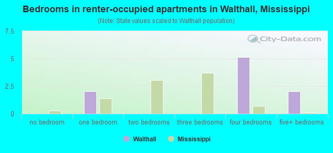 Bedrooms in renter-occupied apartments in Walthall, Mississippi