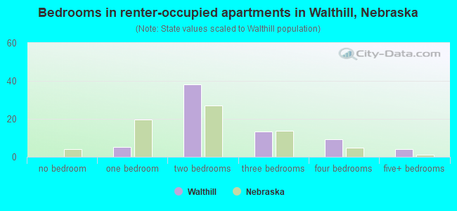 Bedrooms in renter-occupied apartments in Walthill, Nebraska