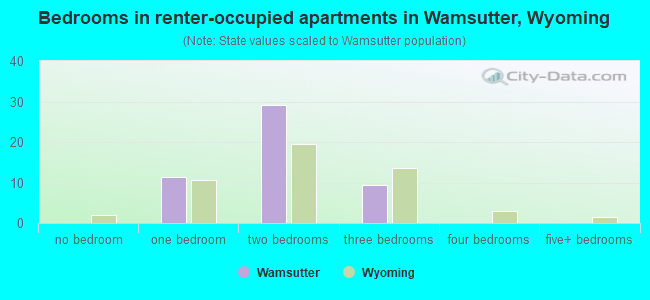 Bedrooms in renter-occupied apartments in Wamsutter, Wyoming
