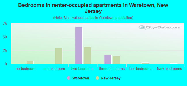 Bedrooms in renter-occupied apartments in Waretown, New Jersey