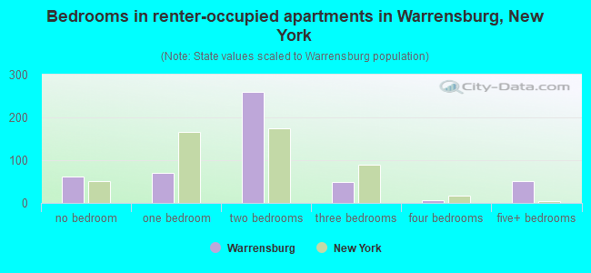 Bedrooms in renter-occupied apartments in Warrensburg, New York