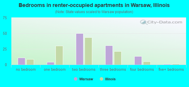 Bedrooms in renter-occupied apartments in Warsaw, Illinois