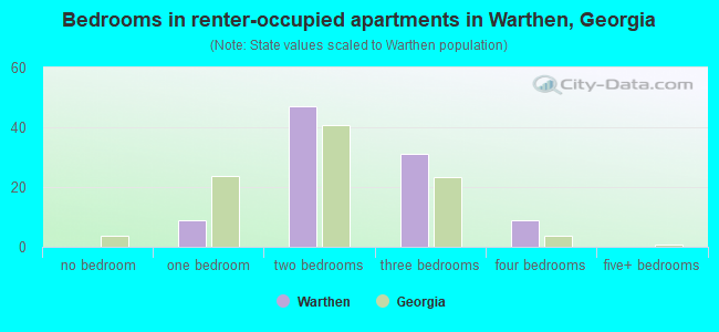 Bedrooms in renter-occupied apartments in Warthen, Georgia