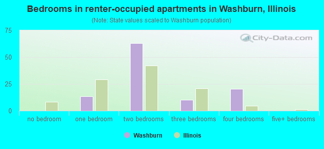 Bedrooms in renter-occupied apartments in Washburn, Illinois