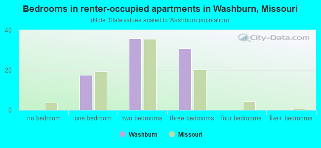 Bedrooms in renter-occupied apartments in Washburn, Missouri