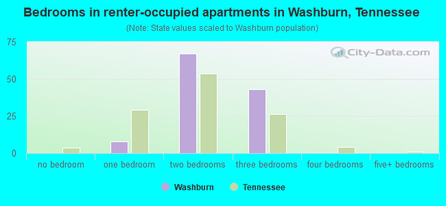 Bedrooms in renter-occupied apartments in Washburn, Tennessee