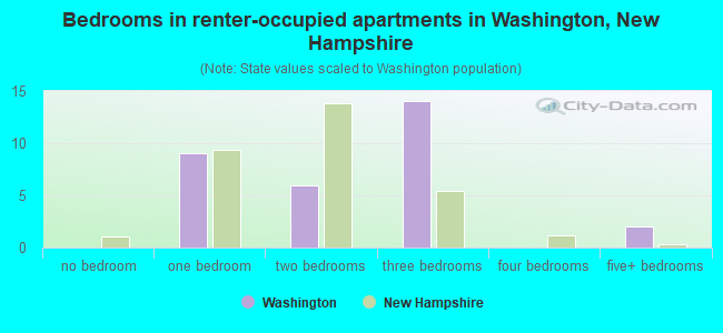 Bedrooms in renter-occupied apartments in Washington, New Hampshire