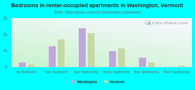 Bedrooms in renter-occupied apartments in Washington, Vermont