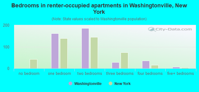 Bedrooms in renter-occupied apartments in Washingtonville, New York