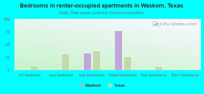 Bedrooms in renter-occupied apartments in Waskom, Texas