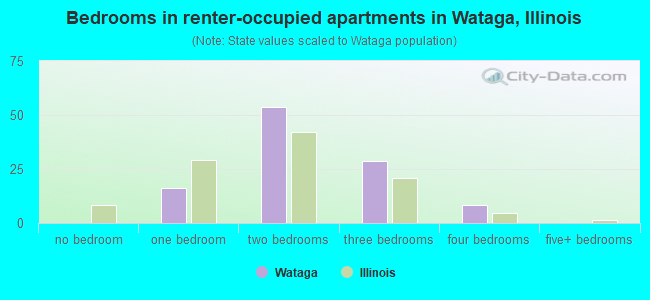 Bedrooms in renter-occupied apartments in Wataga, Illinois