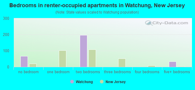 Bedrooms in renter-occupied apartments in Watchung, New Jersey