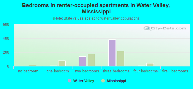 Bedrooms in renter-occupied apartments in Water Valley, Mississippi