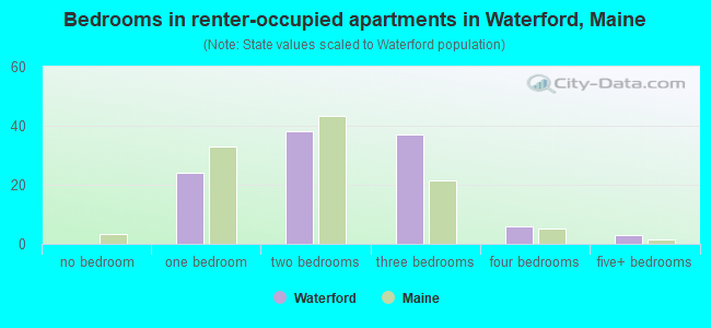 Bedrooms in renter-occupied apartments in Waterford, Maine