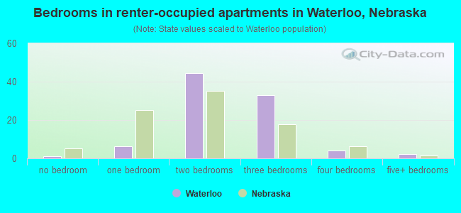 Bedrooms in renter-occupied apartments in Waterloo, Nebraska