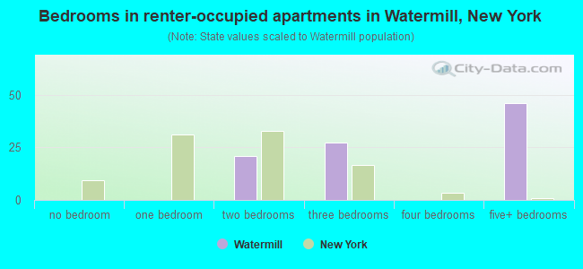 Bedrooms in renter-occupied apartments in Watermill, New York