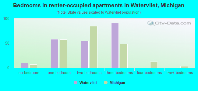 Bedrooms in renter-occupied apartments in Watervliet, Michigan