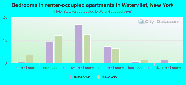 Bedrooms in renter-occupied apartments in Watervliet, New York