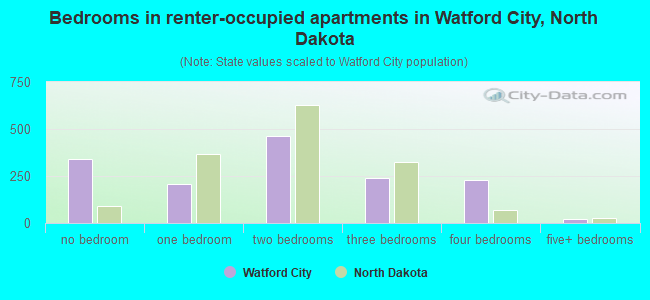 Bedrooms in renter-occupied apartments in Watford City, North Dakota