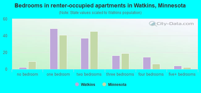 Bedrooms in renter-occupied apartments in Watkins, Minnesota