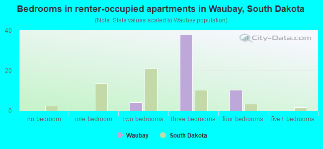 Bedrooms in renter-occupied apartments in Waubay, South Dakota