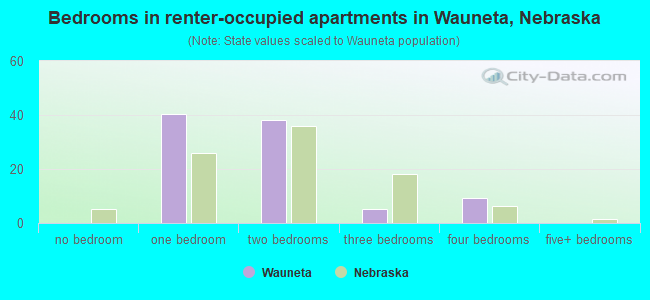 Bedrooms in renter-occupied apartments in Wauneta, Nebraska