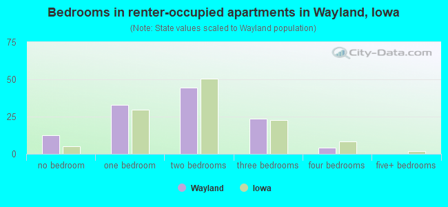 Bedrooms in renter-occupied apartments in Wayland, Iowa