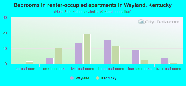 Bedrooms in renter-occupied apartments in Wayland, Kentucky