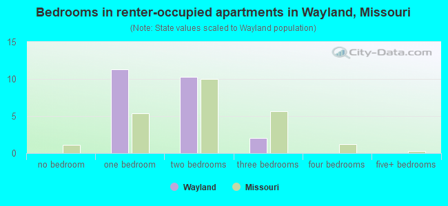Bedrooms in renter-occupied apartments in Wayland, Missouri