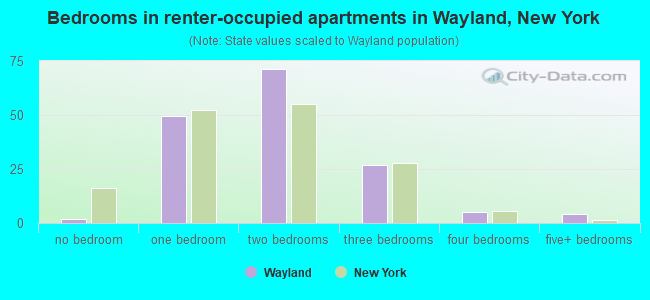 Bedrooms in renter-occupied apartments in Wayland, New York