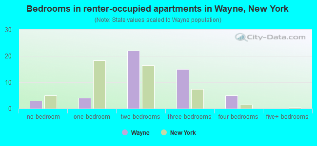 Bedrooms in renter-occupied apartments in Wayne, New York