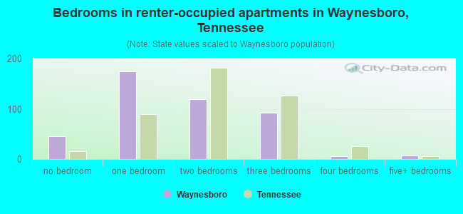 Bedrooms in renter-occupied apartments in Waynesboro, Tennessee