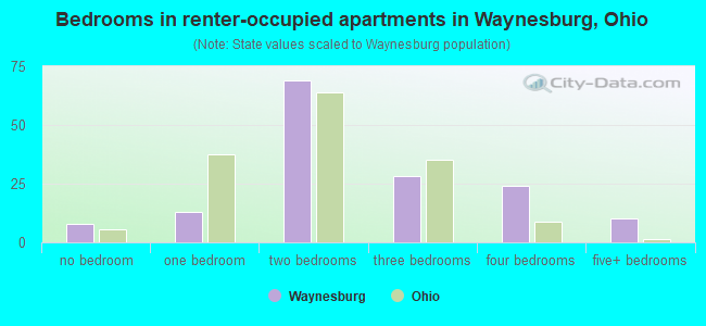 Bedrooms in renter-occupied apartments in Waynesburg, Ohio