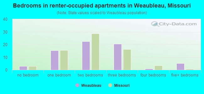 Bedrooms in renter-occupied apartments in Weaubleau, Missouri