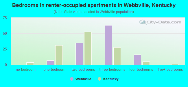 Bedrooms in renter-occupied apartments in Webbville, Kentucky