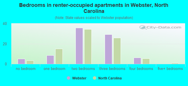 Bedrooms in renter-occupied apartments in Webster, North Carolina