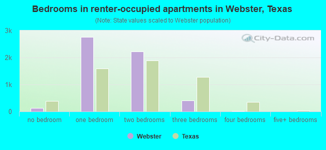 Bedrooms in renter-occupied apartments in Webster, Texas
