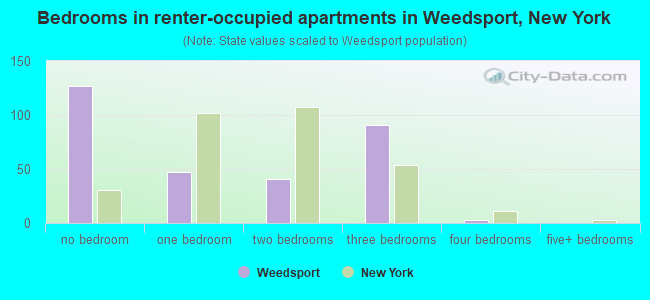 Bedrooms in renter-occupied apartments in Weedsport, New York