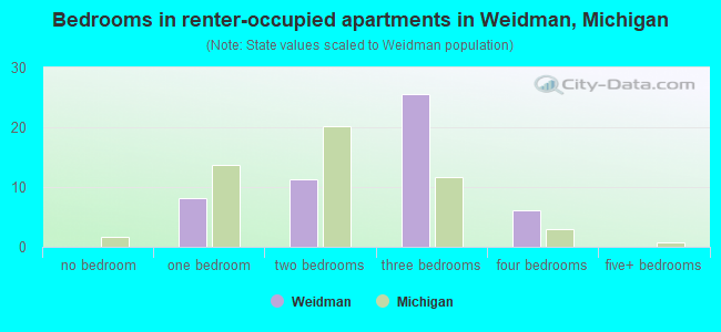 Bedrooms in renter-occupied apartments in Weidman, Michigan