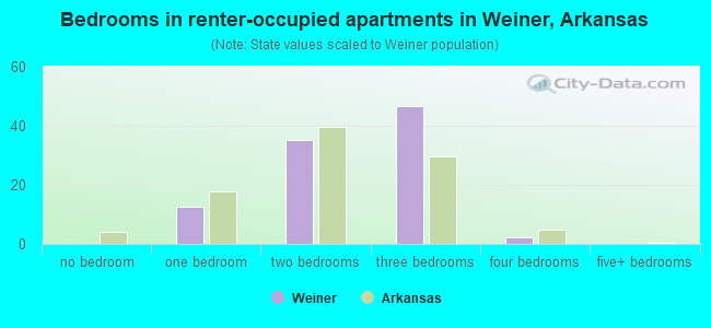 Bedrooms in renter-occupied apartments in Weiner, Arkansas