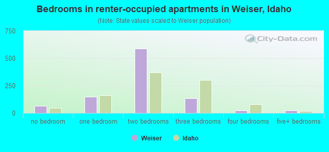 Bedrooms in renter-occupied apartments in Weiser, Idaho