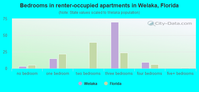 Bedrooms in renter-occupied apartments in Welaka, Florida