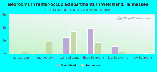 Bedrooms in renter-occupied apartments in Welchland, Tennessee