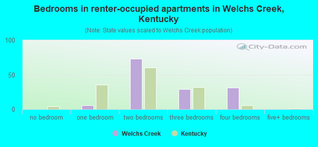 Bedrooms in renter-occupied apartments in Welchs Creek, Kentucky