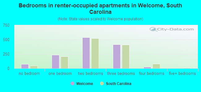 Bedrooms in renter-occupied apartments in Welcome, South Carolina