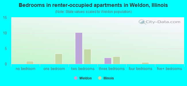 Bedrooms in renter-occupied apartments in Weldon, Illinois